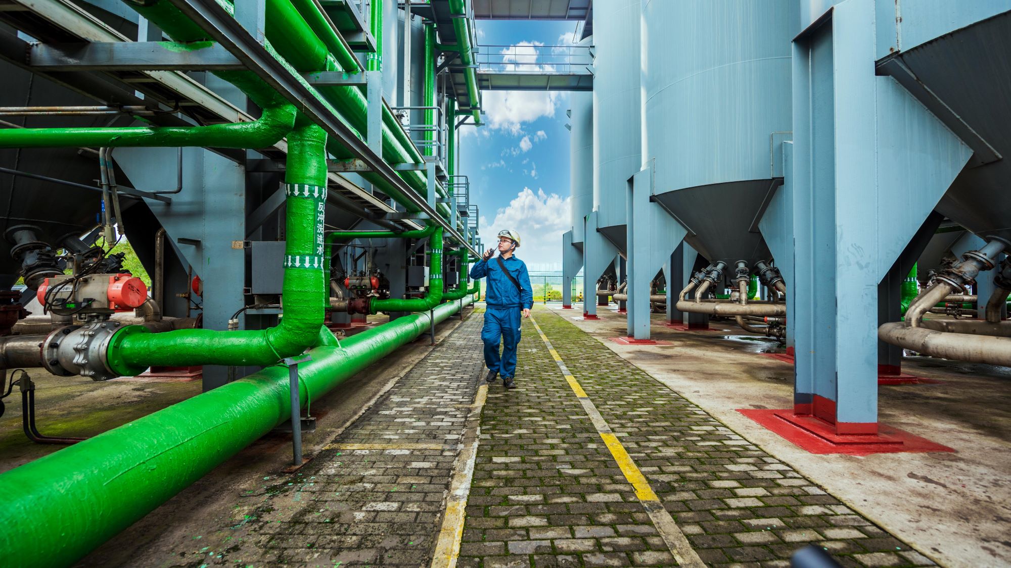 苏利股份(603585)强势表现分析:动因与持续性判断