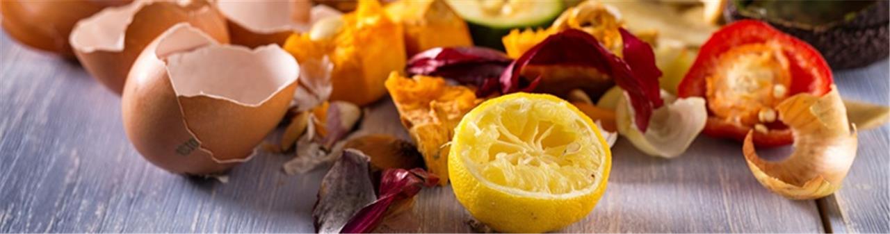 1223 Waste to Energyout