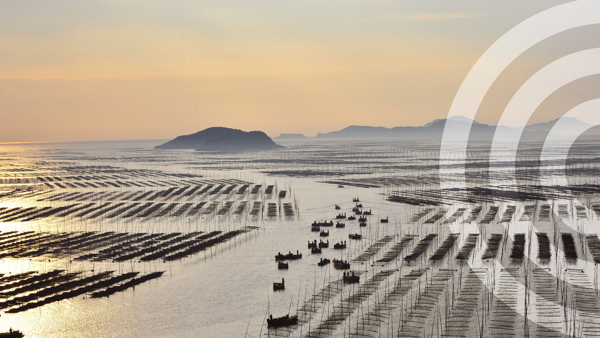 21 What are you looking forout