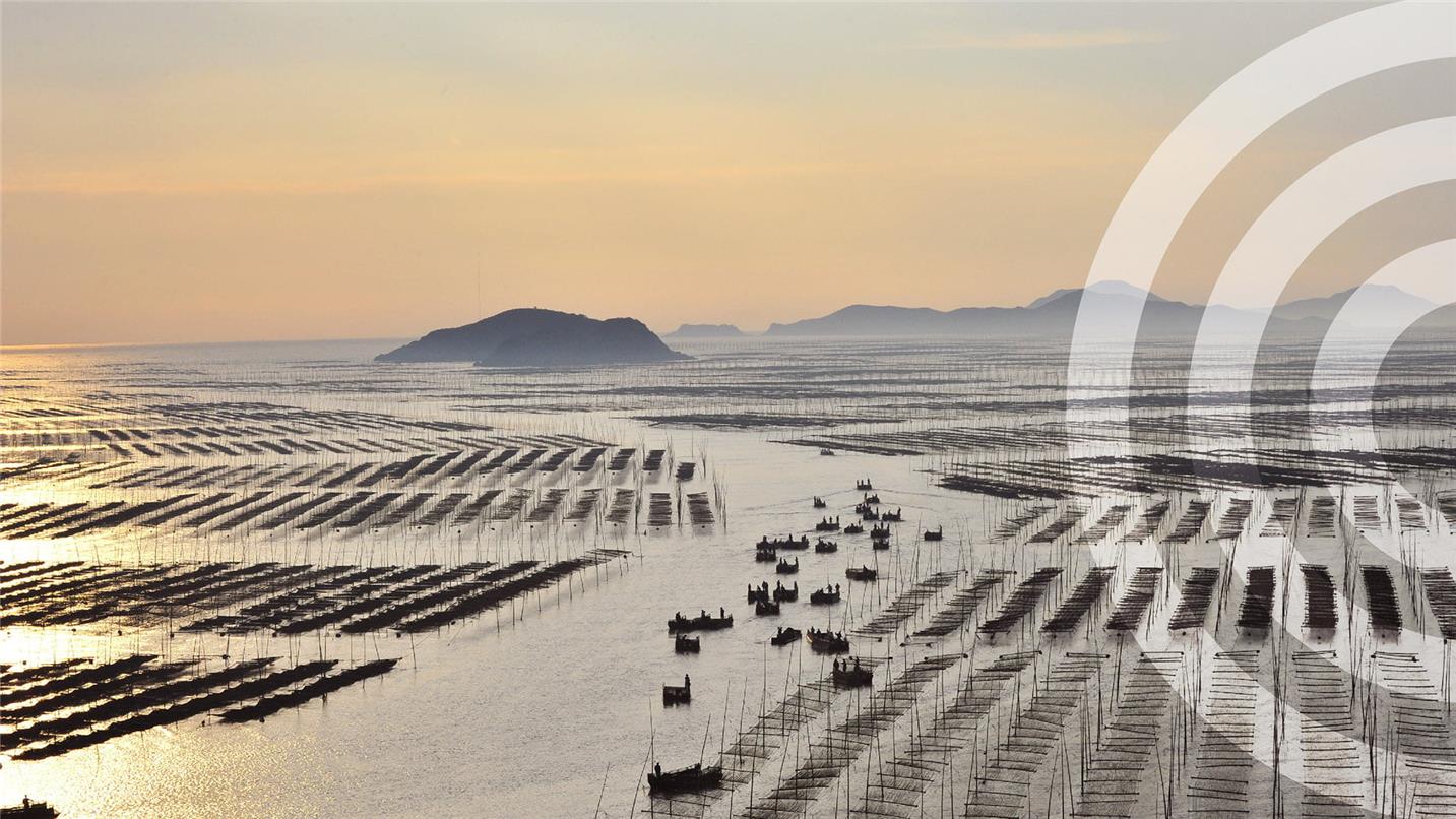 21 What are you looking forout