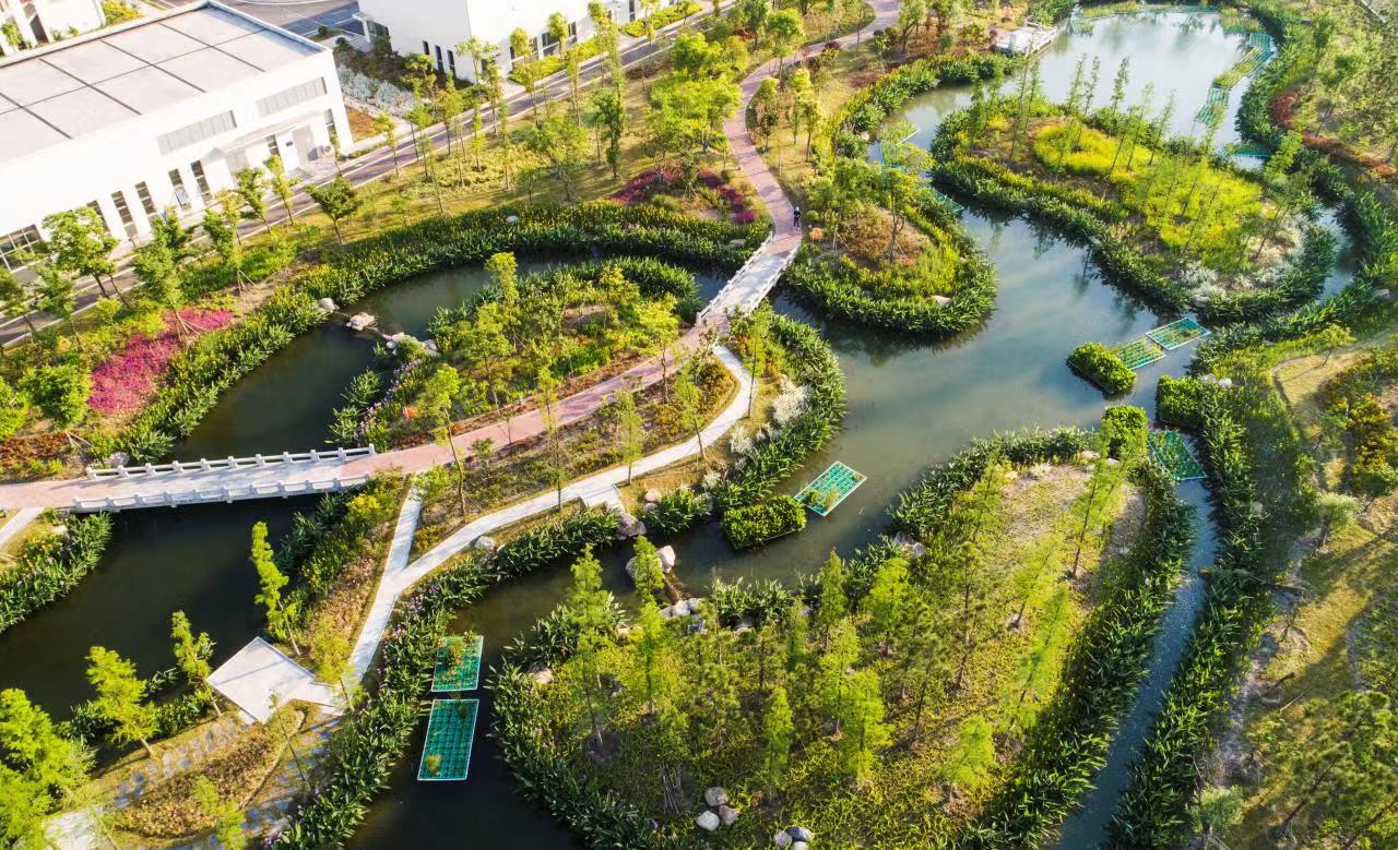在常熟,苏伊士在城东水质净化厂建设1.4万平方米的湿地。