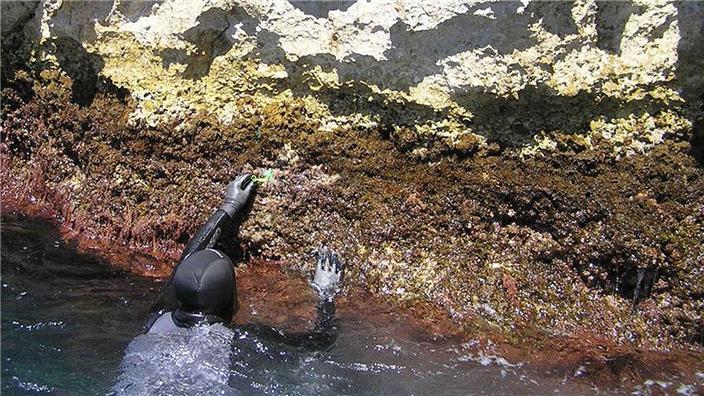 Marseille a smart sanitation service